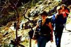 die Wanderung im Canyon du Verdon ist so interessant und herausfordernd, dass die Jugendlichen noch nach Jahrzehnten davon schwrmen.